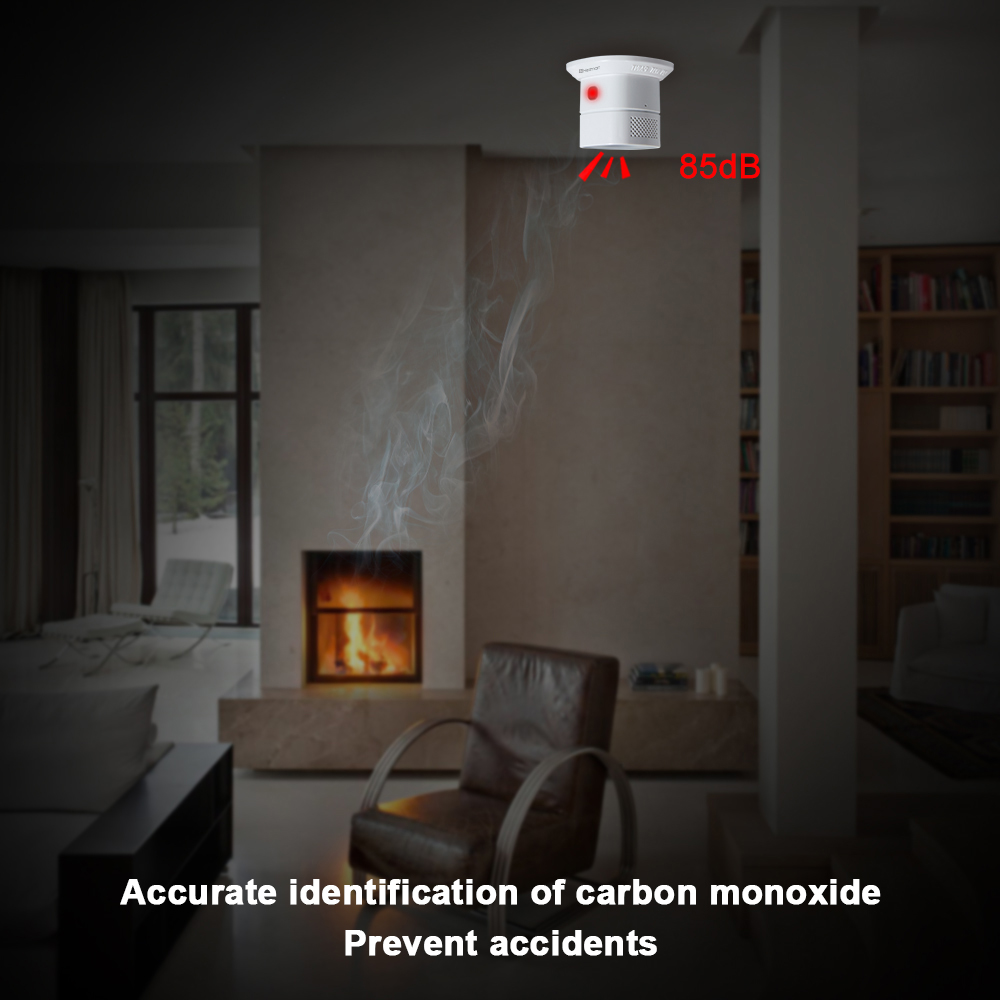 HEIMAN Zigbee Carbon monoxide  - огляд і ціна Smoke Leak Detector