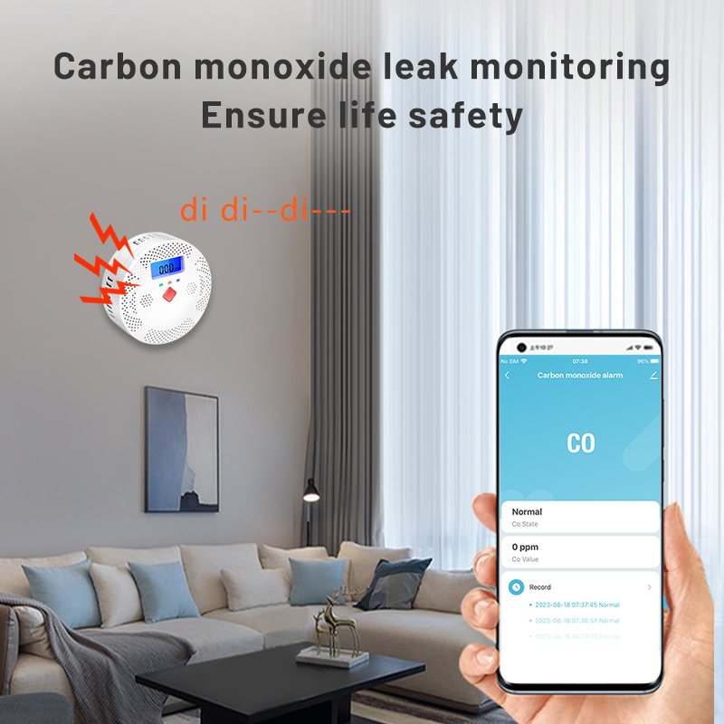 Tuya WiFi Smart Carbon Monoxid - огляд і ціна Smoke Leak Detector